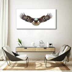 COLORAY.CZ Obraz na plátně Zvířecí pták Eagle 120x60 cm