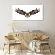 COLORAY.CZ Obraz na plátně Zvířecí pták Eagle 120x60 cm