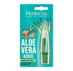 DAX Rtěnka Perfecta Aloe + Coconut