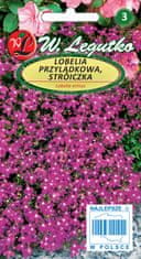 Legutko Cape Lobelia Seeds, Reed, 0,1g