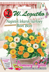 Legutko Bon Bon Marigold Seeds, 2g