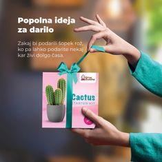 DIY SET - KAKTUS, pěstování různých druhů rostlin