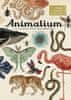 Jenny Broomová: Animalium - Vítáme vás v muzeu