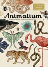 Animalium - Vítáme vás v muzeu