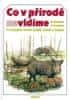 Miroslav Bouchner: Co v přírodě nevidíme - po stopách savců,ptáků,plazů a hmyzů