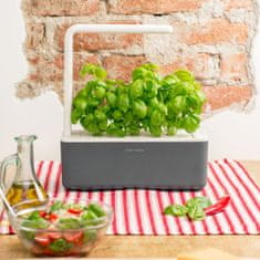 Click and Grow Smart Garden 3 chytrý květináč + 3ks kapslí se semínky bazalky, šedý