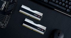 G.Skill Trident Z5 RGB 32GB (2x16GB) DDR5 6400 CL32, stříbrná