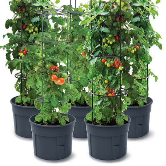 Prosperplast Sada 5X Květináč Na Pěstování Rajčat Tomato Grower 392X1530 Mm - Antracit