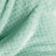 FLHF Shleepy Mint Pressed Jacquard Modern Blanket 170x210 AmeliaHome