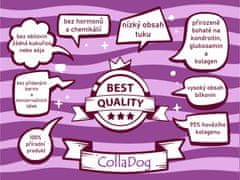 CollaDog KNOTS PREMIUM kolagenový žvýkací pamlsek pro psy, vel. 13/2 ks v balení, vyrobeno výhradně z hovězího kolagenu (100%)