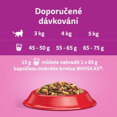 Whiskas granule hovězí pro dospělé kočky 14 kg