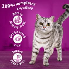 Whiskas granule hovězí pro dospělé kočky 14 kg