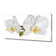 Wallmuralia Foto obraz skleněný horizontální Orchidej 125x50 cm 4 úchytky