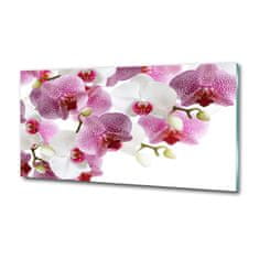 Wallmuralia Foto obraz sklo tvrzené Orchidej 125x50 cm 4 úchytky