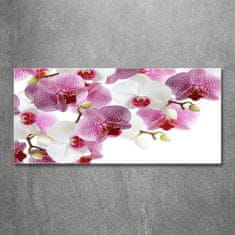 Wallmuralia Foto obraz sklo tvrzené Orchidej 125x50 cm 4 úchytky