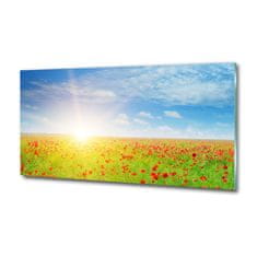 Wallmuralia Foto obraz skleněný horizontální Pole máků 125x50 cm 2 úchytky