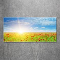 Wallmuralia Foto obraz skleněný horizontální Pole máků 125x50 cm 2 úchytky