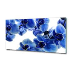 Wallmuralia Foto obraz sklo tvrzené Modrná orchidej 125x50 cm 4 úchytky