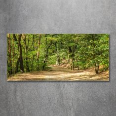 Wallmuralia Foto obraz skleněný horizontální Lesní stezka 125x50 cm 2 úchytky