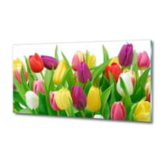 Wallmuralia Foto-obraz fotografie na skle Barevné tulipány 125x50 cm 4 úchytky