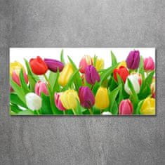 Wallmuralia Foto-obraz fotografie na skle Barevné tulipány 125x50 cm 4 úchytky