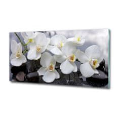 Wallmuralia Foto obraz skleněný horizontální Orchidej 125x50 cm 2 úchytky