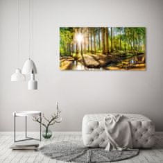 Wallmuralia Foto obraz sklo tvrzené Panorama les 125x50 cm 2 úchytky