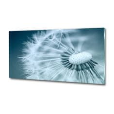 Wallmuralia Foto obraz fotografie na skle Pampeliška 125x50 cm 4 úchytky