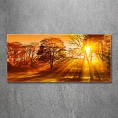 Wallmuralia Foto obraz fotografie na skle Západ slunce 125x50 cm 4 úchytky