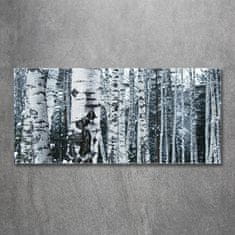 Wallmuralia Foto-obrah sklo tvrzené Stromy bříza 125x50 cm 2 úchytky