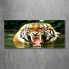 Wallmuralia Fotoobraz na skle Řvoucí tygři 125x50 cm 2 úchytky