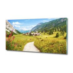 Wallmuralia Foto obraz skleněný horizontální Pastvina v Alpách 125x50 cm 4 úchytky