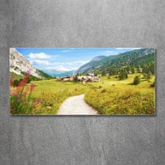 Wallmuralia Foto obraz skleněný horizontální Pastvina v Alpách 125x50 cm 4 úchytky