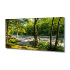 Wallmuralia Foto obraz skleněný horizontální Řeka v lese 125x50 cm 2 úchytky