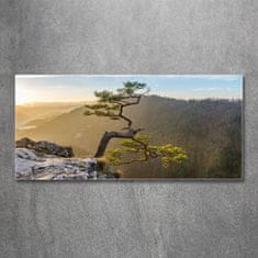 Wallmuralia Foto obraz skleněný horizontální Sokolice Pieniny 125x50 cm 4 úchytky