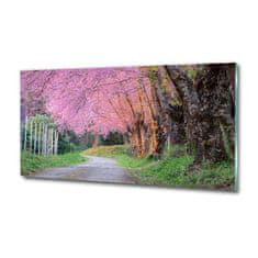 Wallmuralia Fotoobraz na skle Květy višně 125x50 cm 4 úchytky
