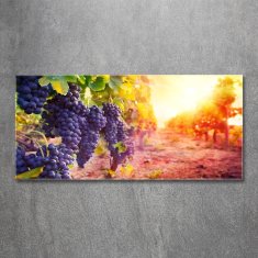 Wallmuralia Foto obraz skleněný horizontální Hrozny a víno 125x50 cm 2 úchytky