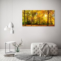 Wallmuralia Foto obraz sklo tvrzené Podzimní les 125x50 cm 2 úchytky