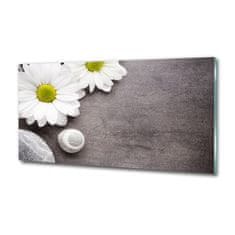 Wallmuralia Foto obraz fotografie na skle Gerbera 125x50 cm 2 úchytky