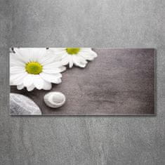 Wallmuralia Foto obraz fotografie na skle Gerbera 125x50 cm 2 úchytky