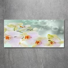 Wallmuralia Foto obraz fotografie na skle Bílá orchidej 125x50 cm 2 úchytky