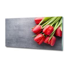 Wallmuralia Foto obraz fotografie na skle Červené tulipány 125x50 cm 2 úchytky