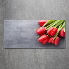 Wallmuralia Foto obraz fotografie na skle Červené tulipány 125x50 cm 2 úchytky