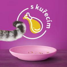 Whiskas granule s kuřecím pro koťata 14 kg