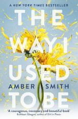 Smith Amber: The Way I Used to Be