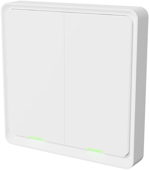 Tesla SMART Switch Dual ZigBee