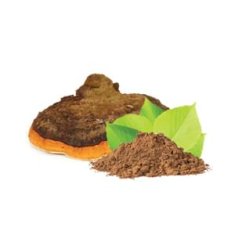 MycoMedica Mycomedica Chaga prášek BIO 100g