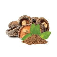 MycoMedica Mycomedica Shiitake prášek BIO 100g