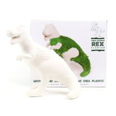 Gift Republic Dinosaurus - Chia Saurus, sada semínek chia