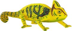 MOJO Chameleon